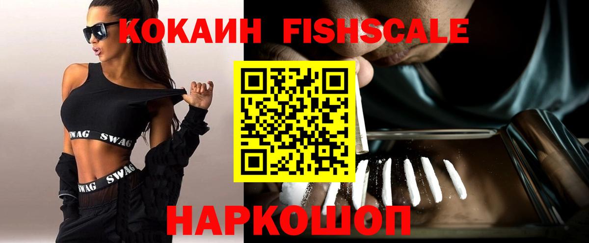 COCAIN VHQ  продажа наркотиков  Кокаин Fish Scale  Чистополь  Вход с VPN 