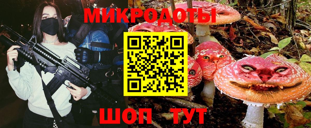 Псилоцибиновые грибы мицелий Чистополь