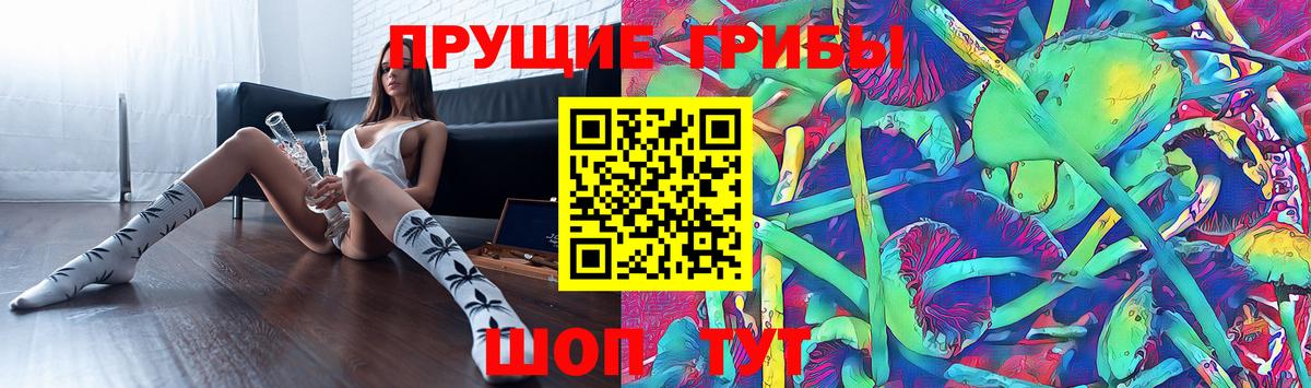 Галлюциногенные грибы Cubensis  Вход с VPN  даркнет сайт  Псилоцибиновые грибы GOLDEN TEACHER  Чистополь 